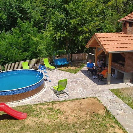 Vila Zubor Crni Vrh Dış mekan fotoğraf