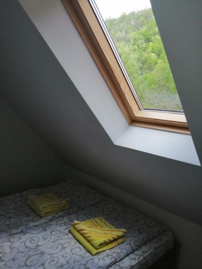 Vila Zubor Crni Vrh Dış mekan fotoğraf